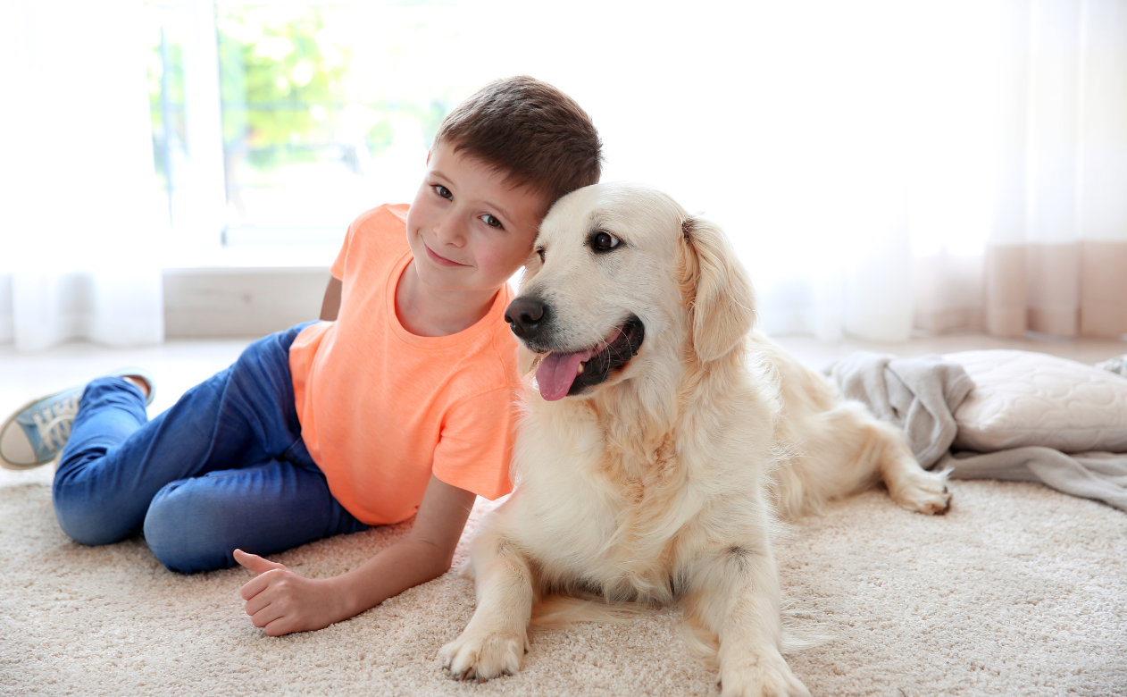 Child and dog enjoying soft carpet flooring, highlighting comfort and durability. Learn why carpet padding is important on Carpet Master Carpet One's blog.