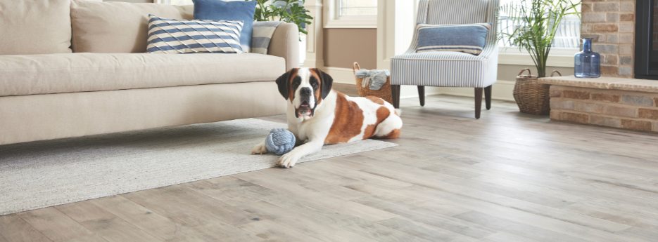 Pet-friendly luxury vinyl flooring in a cozy living room. Durable and stylish, perfect for pets. Exp